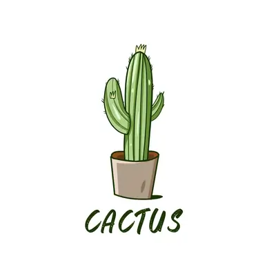 Cactus Restaurant & Cafe