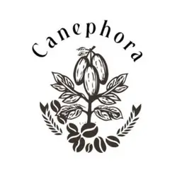 Canephora