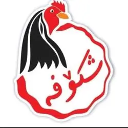 Shkofa Restaurant