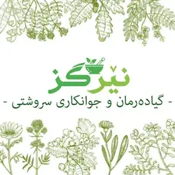 Nergz Herbalists & Natural Beauty