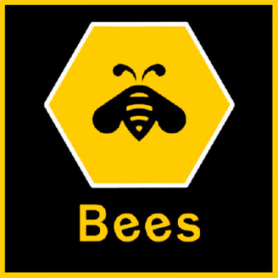 Bees Bakhtiyari